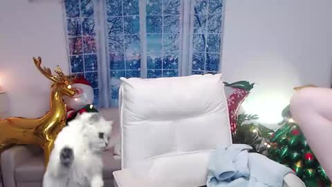 candy8998 online show from 12/16/24, 12:16