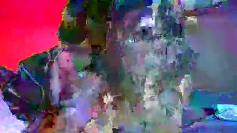 candy kyle online show from 10/02/25, 10:28