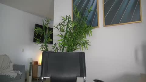 Jency NEW IG IMCANELA   online show from 09/10/25, 07:36