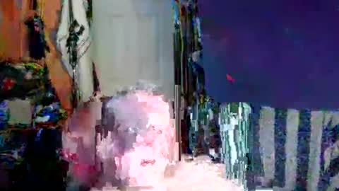 canoelicker69 online show from 10/31/25, 07:37