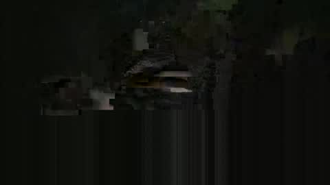 supersexycardie online show from 05/16/26, 04:09