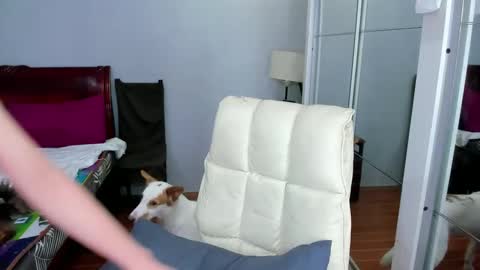 carla_bigcock09 online show from 02/20/25, 11:09