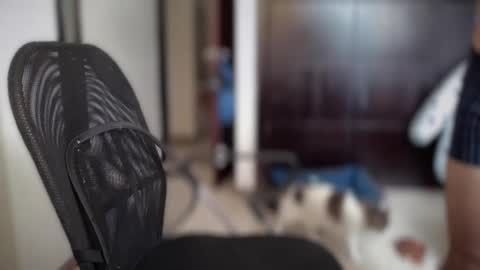 Snapshot of carlcarlinches4 chatting on 03/10/25, 02:59 carlcarlinches4 online show from 03/10/25, 02:59