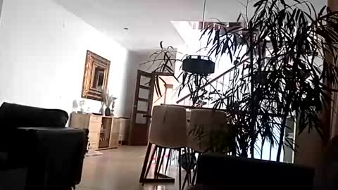 Snapshot of carlitito1 chatting on 04/15/26, 09:16 carlitito1 online show from 04/15/26, 09:16