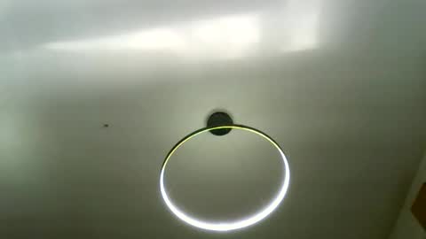 Carlos online show from 03/16/26, 08:29