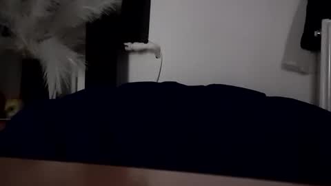 carlosandvivi13 online show from 10/11/25, 10:52