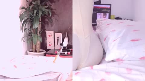 Carol online show from 03/18/26, 11:02