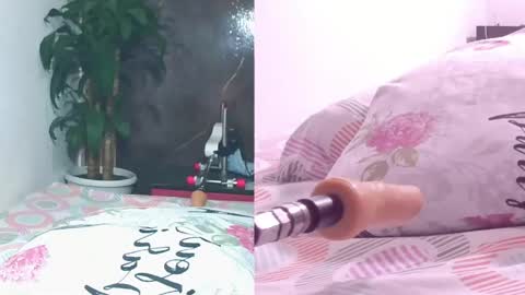 Carol online show from 04/11/26, 11:03