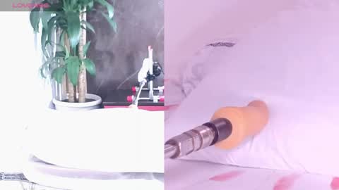 Carol online show from 04/16/26, 11:11