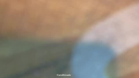 Char online show from 04/20/26, 12:24