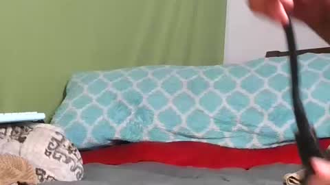 carolinayungin96 online show from 11/11/25, 10:43