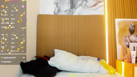 OSNA online show from 03/21/26, 08:19