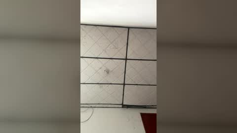 Caroline online show from 07/11/26, 11:57