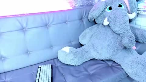 carolinejesh online show from 02/17/26, 06:03