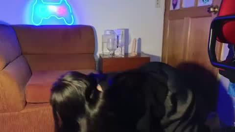 Snapshot of caroll_luna chatting on 12/07/24, 05:15 kitty online show from 12/07/24, 05:15