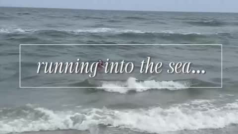 carrie madsin online show from 12/02/25, 11:00