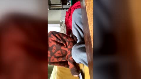 carrrigggg online show from 03/03/26, 09:15