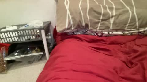 casanovacasaa online show from 02/20/25, 07:19