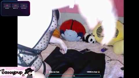 caseypup online show from 12/02/25, 11:56