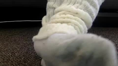 cash13bychanel online show from 12/04/25, 07:00