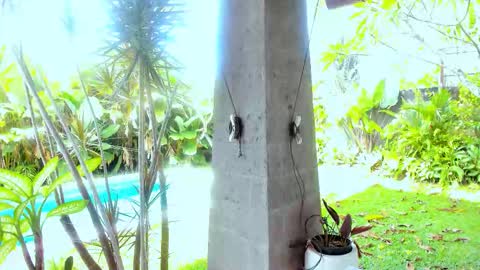 Snapshot of cassie_palmer chatting on 02/18/26, 01:12 Hello my name is Cassie and my friend Nilo is also here online show from 02/18/26, 01:12