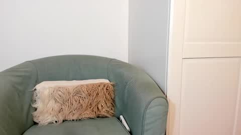 cassiecute - onlyfans account online show from 10/27/25, 11:03