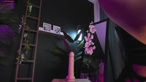 assie online show from 02/02/25, 02:59