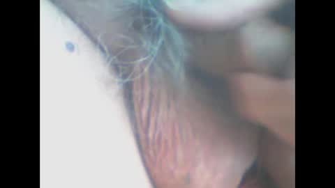 Snapshot of castells chatting on 04/11/26, 04:00 castells online show from 04/11/26, 04:00
