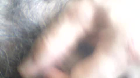 castells online show from 06/24/26, 02:38