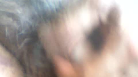 castells online show from 06/26/26, 03:49