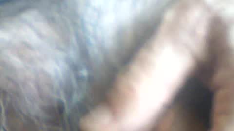 castells online show from 07/02/26, 02:56