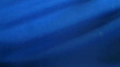 castells online show from 07/03/26, 04:13