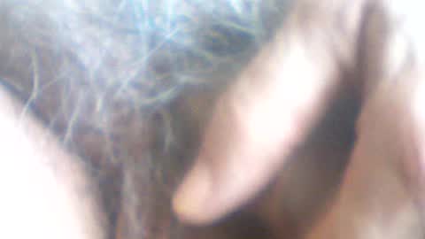 castells online show from 07/07/26, 02:43
