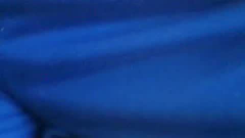 castells online show from 07/29/26, 03:21