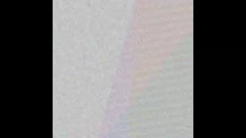 Bakewell Trixie  online show from 01/15/26, 02:27