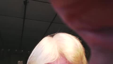 cat online show from 01/03/25, 08:11