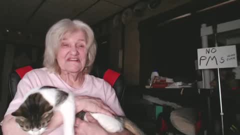 cat online show from 02/04/25, 09:31