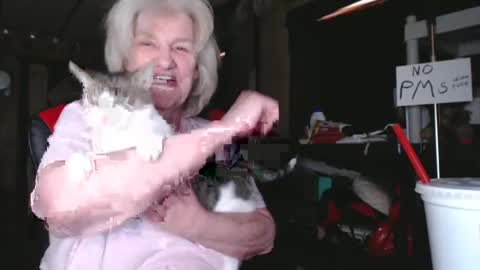 cat online show from 02/05/25, 06:26