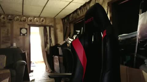 cat online show from 10/24/25, 04:25