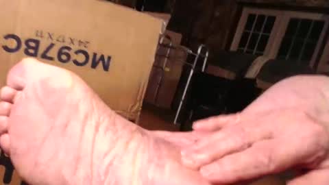 cat online show from 10/28/25, 07:27