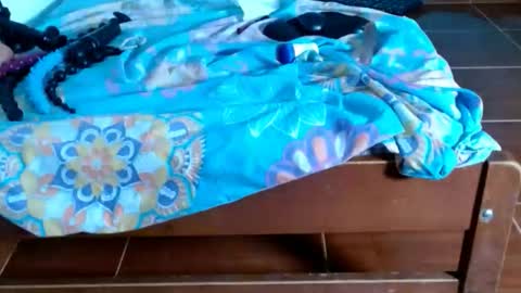 cataleya online show from 01/06/26, 09:18