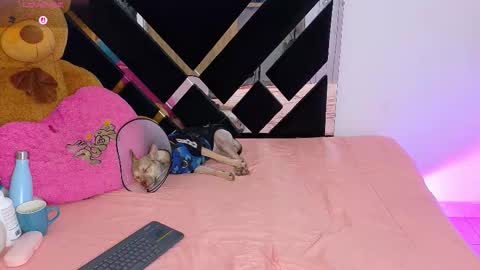 Catalina  online show from 03/10/26, 10:15