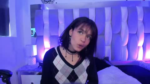 Cat  online show from 12/12/24, 03:37
