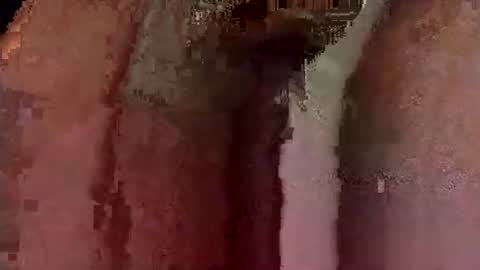 Snapshot of catdaddy179057 chatting on 03/12/26, 10:54 catdaddy179057 online show from 03/12/26, 10:54