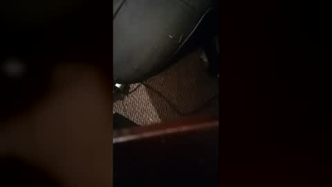 catdaddy179057 online show from 05/01/26, 10:42