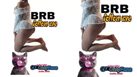 catta cat18 online show from 02/23/25, 11:04