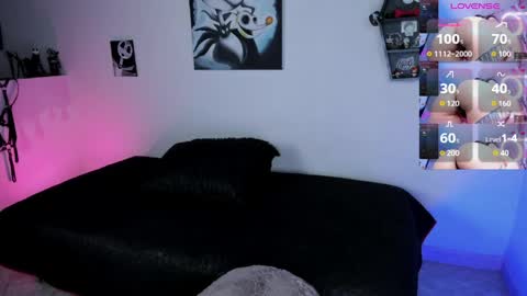 CattNamy online show from 04/03/26, 08:01