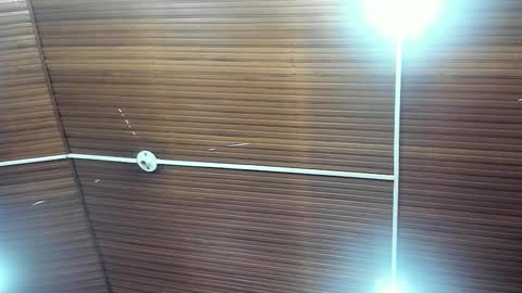 caylincollins online show from 02/02/26, 12:48