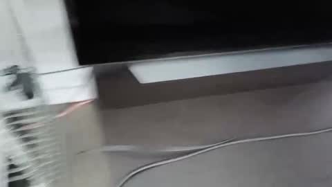 Snapshot of cbg65 chatting on 02/04/26, 10:47 cbg65 online show from 02/04/26, 10:47