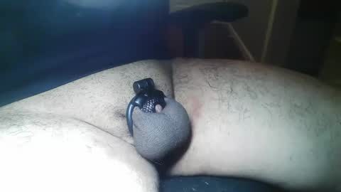 cbtandbb25 online show from 02/01/25, 03:52